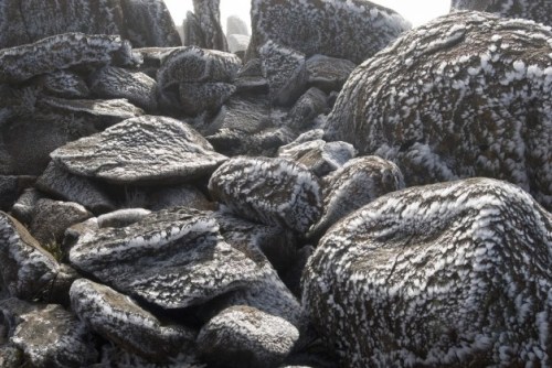 Rocks with Hoar Frost Atop Mount Wellington, Hobart, Tasmania Image by photoeverywhere/stockarch.com